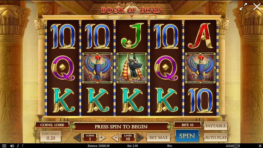 Screenshot of Book of Dead from Play N GO